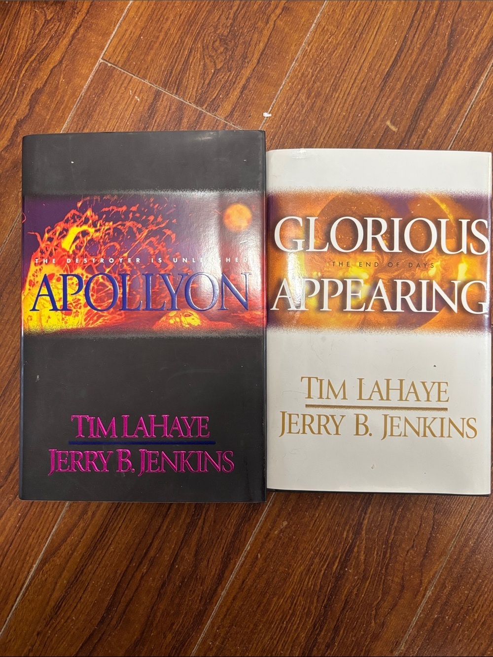 📚 2 Book Bundle By LaHaye & Jenkins